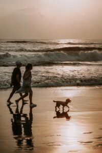 couple, nature, dog, walk, beach, bali, wave, shores, sea, animal, pet, ocean, sunset